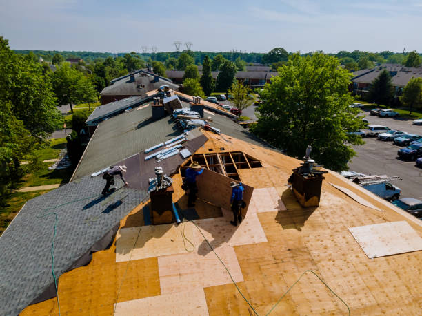 Best Flat Roof Repair Services  in Montrose, MN