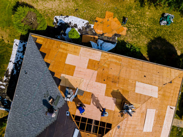Roof Gutter Cleaning in Montrose, MN