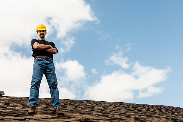 Best Shingle Roofing Installation  in Montrose, MN