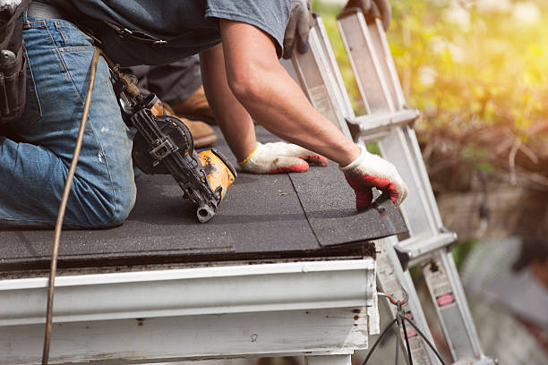 Best Roof Gutter Cleaning  in Montrose, MN