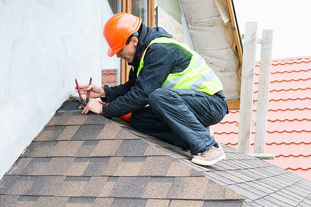Best Metal Roofing Contractor  in Montrose, MN
